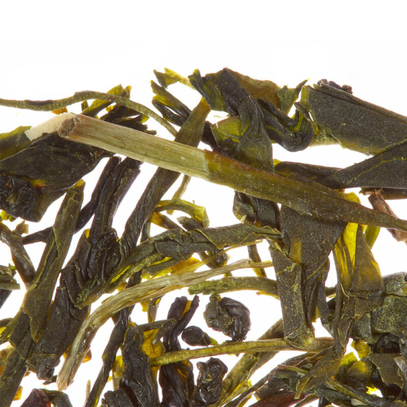 Althaus SENCHA SENPAI - imagine 2