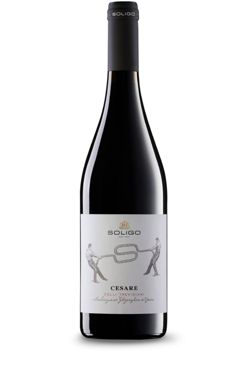 Cesare Rosso Colli Trevigiani Igt 2017 0.75 l